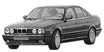 BMW E34 P1C8B Fault Code
